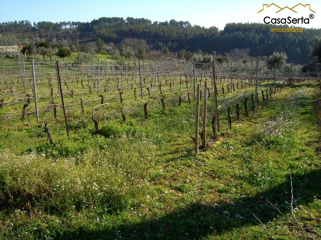 Land for sale in Sertã, Portugal — €90,000