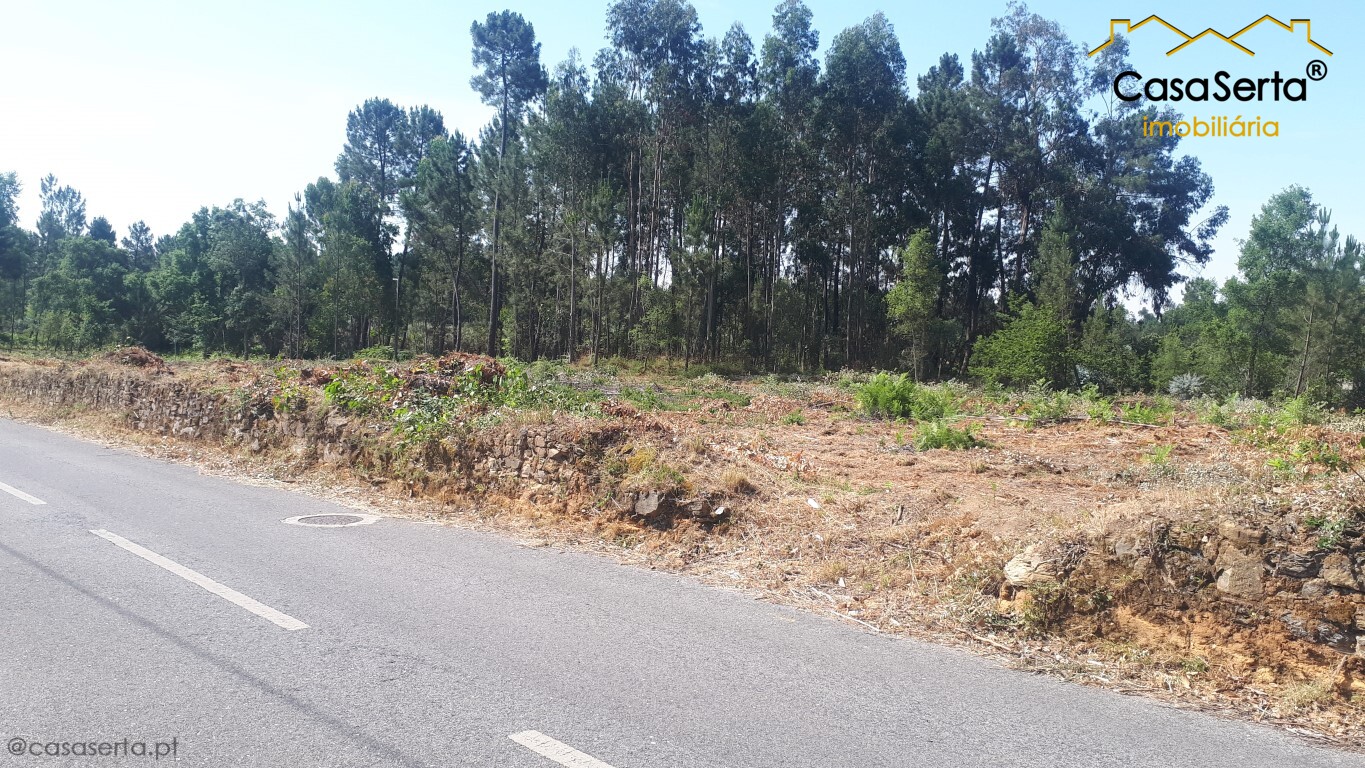 Terreno em Sertã