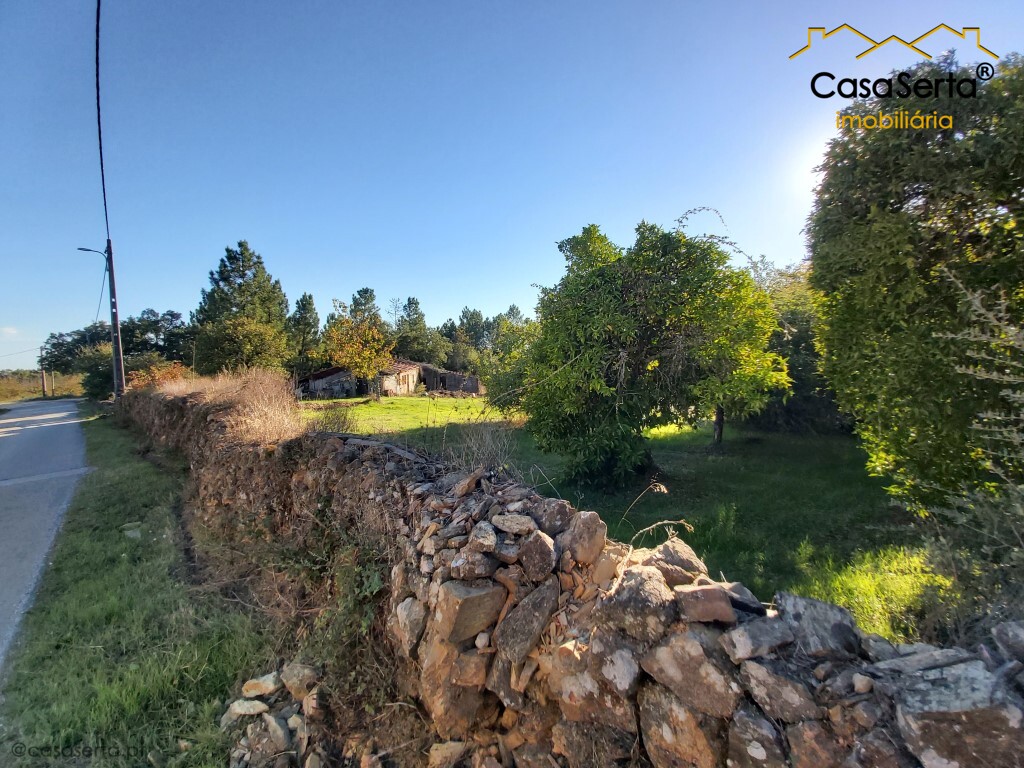 Terreno em Proença-a-Nova