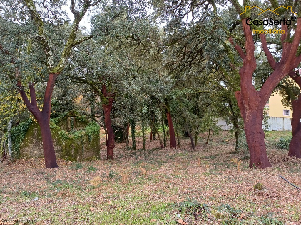 Land for sale in Figueiró dos Vinhos, Portugal — €85,000